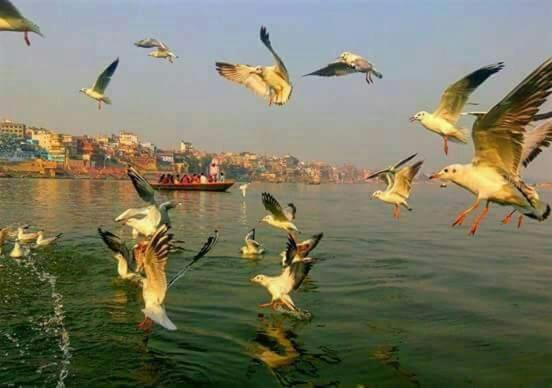 Shiva Ganges View Guest House Varanasi Bagian luar foto